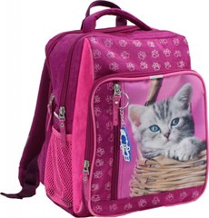 Шкільний рюкзак Bagland Школяр 8 л. Малина (кошеня в кошику) (00112702) 58861029