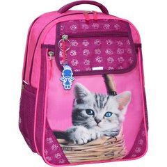 Рюкзак школьный Bagland Отличник 20 л. Малина (котенок в корзинке) (0058070) 41821029