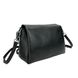 Жіноча стильна шкіряна сумочка Polina Eiterou AN01-TH9282PA Чорний