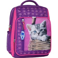 Шкільний рюкзак Bagland Школяр 8 л. 339 фіолетовий 58д (0012870) 68811179