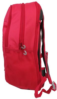 Женский спортивный рюкзак с дождевиком Crivit 17L IAN398768 розовый