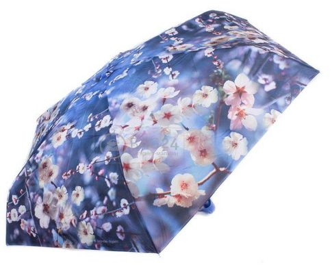 Красивый облегченный компактный зонт для дам, мех. ZEST Z25515-8, Голубой