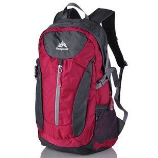Чоловічий рюкзак ONEPOLAR (ВАНПОЛАР) W1802-red Червоний