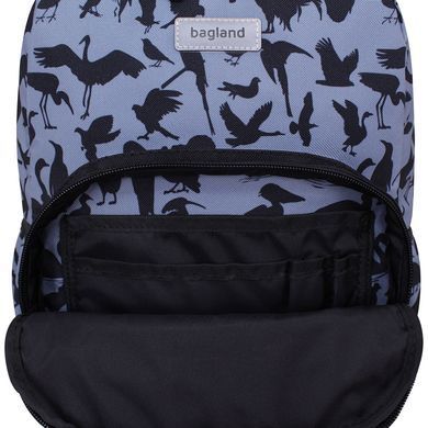 Рюкзак школьный Bagland Fighter 11 л. сублимация 938 (00578664) 990216519