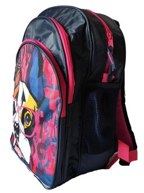 Шкільний рюкзак для дівчинки Paso синій
