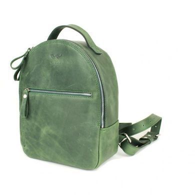Натуральний шкіряний рюкзак Groove S зелений вінтажний Blanknote TW-Groove-S-green-crz