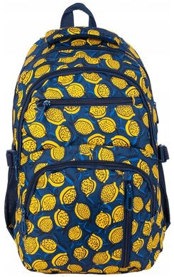 Рюкзак з ортопедичною спинкою Paso 24L синій з лимонами