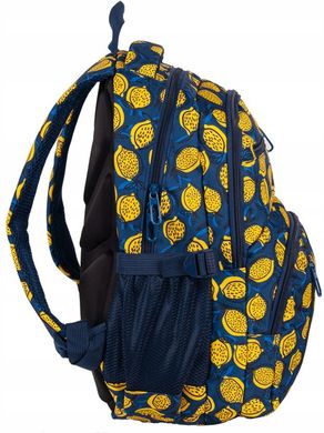 Рюкзак з ортопедичною спинкою Paso 24L синій з лимонами