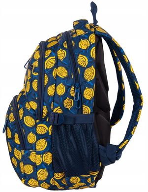 Рюкзак с ортопедической спинкой Paso 24L синий с лимонами