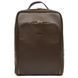 Діловий шкіряний рюкзак для ноутбука 14" GC-1239-4lx TARWA Коричневий