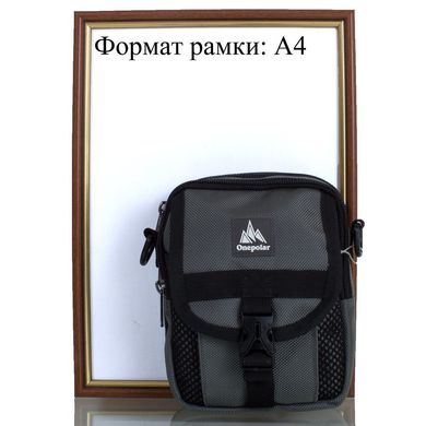 Мужская спортивная сумка ONEPOLAR (ВАНПОЛАР) W3176-grey Серый