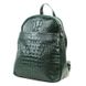 Женский кожаный рюкзак зеленого цвета Borsa Leather sol10t5861-green