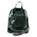 Жіночий шкіряний рюкзак зеленого кольору Borsa Leather sol10t5861-green
