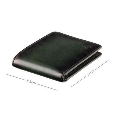 Кошелек мужской Visconti AT63 Roland c RFID (Burnish Green)