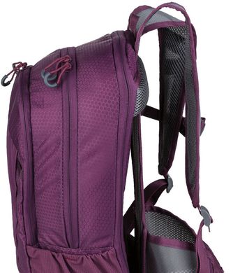 Спортивний рюкзак зі збільшенням об'єму та дощовиком Crivit 14+3L фіолетовий