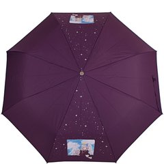 Зонт женский полуавтомат AIRTON (АЭРТОН) Z3617-4 Фиолетовый