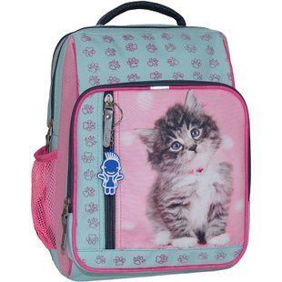 Рюкзак Bagland Школьник 8 л. тиффани 65д (00112662) 66301167