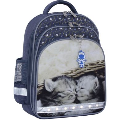 Рюкзак школьный Bagland Mouse 321 серый 165 (00513702) 80223640