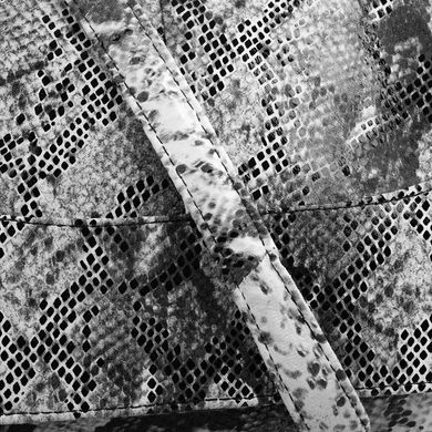 Жіноча шкіряна міні-почтальонка TUNONA (ТУНОНА) SK2416-30 Сірий
