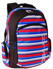Різнобарвний міський рюкзак 22L Corvet, BP2049-87