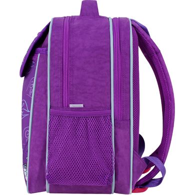 Рюкзак школьный Bagland Отличник 20 л. фиолетовый 1006 (0058070) 418214851