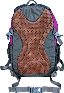 Місткий рюкзак для дітей ONEPOLAR W1590-violet, Фіолетовий
