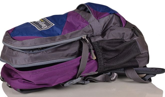 Вместительный рюкзак для детей ONEPOLAR W1590-violet, Фиолетовый