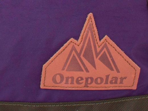 Сумка жіноча спортивна ONEPOLAR (ВАНПОЛАР) W5266-violet Фіолетовий