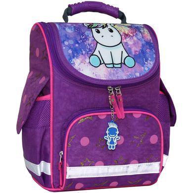Рюкзак школьный каркасный с фонариками Bagland Успех 12 л. фиолетовый 428 (00551703) 80213688