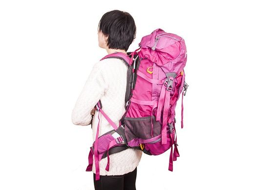 Жіночий рюкзак туриста ONEPOLAR (ВАНПОЛАР) W1632-pink Рожевий