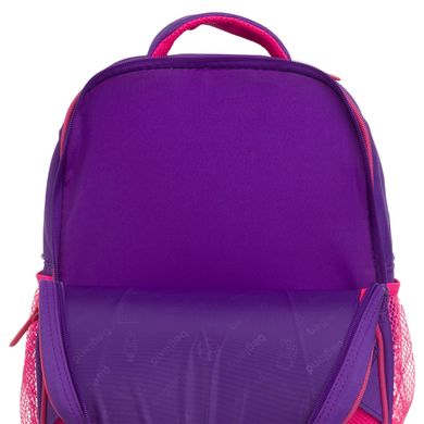 Рюкзак школьный Bagland Отличник 20 л. 170 фиолетовый 502 (0058066) 66318029