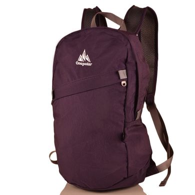 Красивый детский рюкзачок ONEPOLAR W1998-violet, Фиолетовый