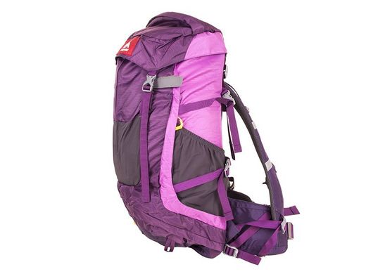 Жіночий рюкзак туриста ONEPOLAR (ВАНПОЛАР) W1638-violet Фіолетовий