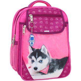 Рюкзак школьный Bagland Отличник 20 л. 143 малина 141 д (0058070) 41821259
