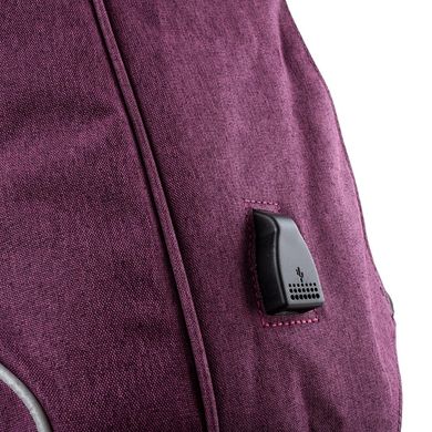 Мужской рюкзак с отделением для ноутбука ETERNO (ЭТЕРНО) DET0306-3 Фиолетовый