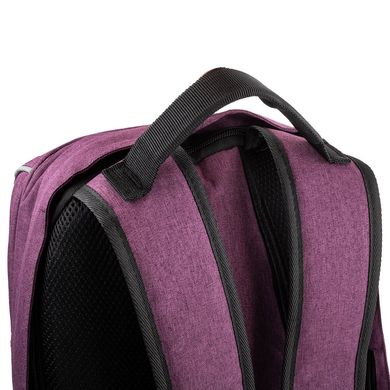 Мужской рюкзак с отделением для ноутбука ETERNO (ЭТЕРНО) DET0306-3 Фиолетовый