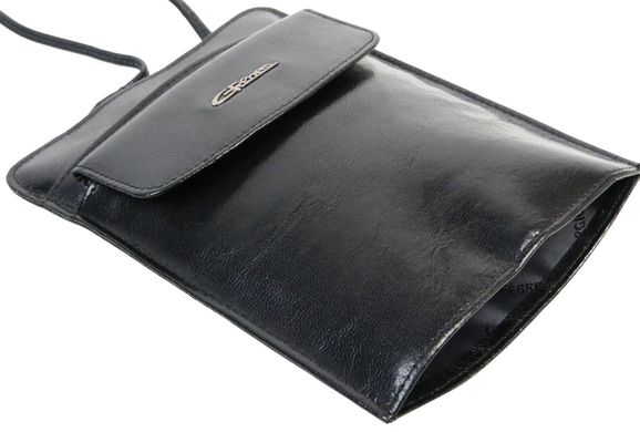 Комплект из сумки и портмоне два в одном из кожи Giorgio Ferretti черная