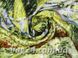 Платок шелковый женский ETERNO (ES2001-1), Зеленый