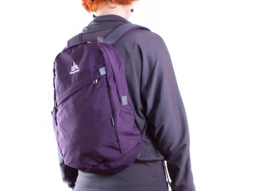 Детский рюкзак ONEPOLAR (ВАНПОЛАР) W1998-violet Фиолетовый