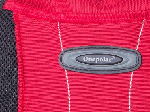 Дитячий рюкзак ONEPOLAR (ВАНПОЛАР) W1296-red Червоний
