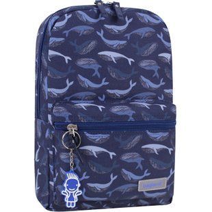 Рюкзак Bagland Молодіжний mini 8 л. сублімація 974 (00508664) 675715470