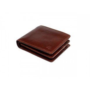 Гаманець чоловічий Visconti TSC43 Montieri c RFID (Tan)
