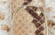 Жіночий клатч зі шкіри з фактурою під пітона LILOCA LC10196-piton, Бежевий