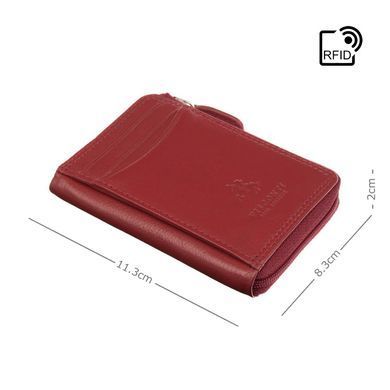 Картхолдер Visconti HT4 Shard (Red)